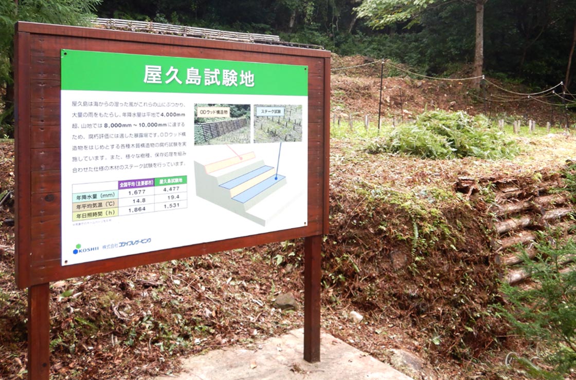 木材保存剤の性能を検証する種子島試験地