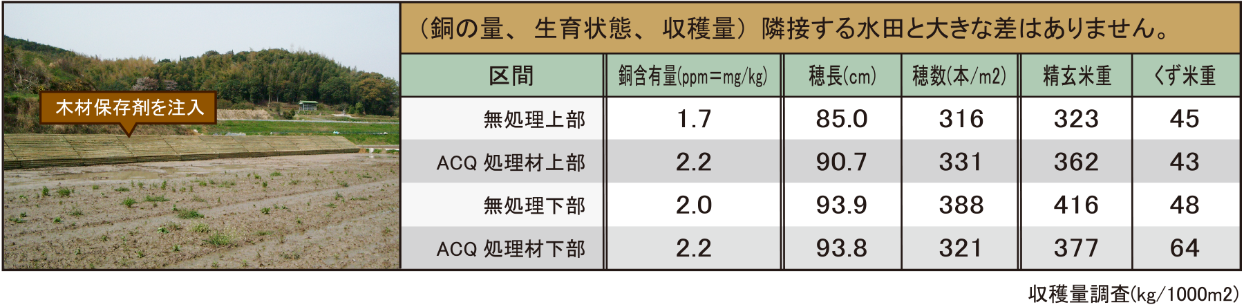 水稲への影響調査
