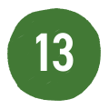 13