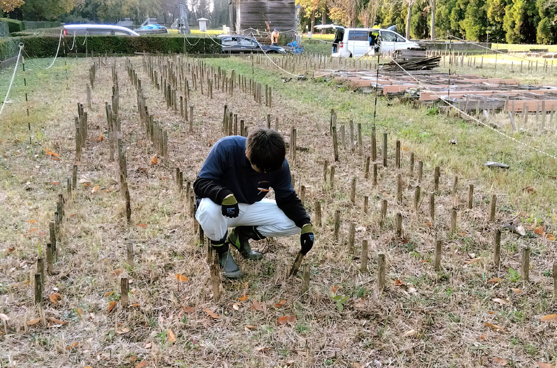 木材の耐久性は推定30年以上